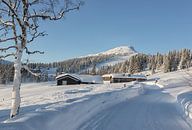 Winterlandschaft von Angelika Stern Miniaturansicht