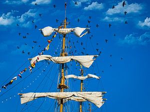 Opgerolde zeilen van een tallship, Sail Amsterdam van Rietje Bulthuis