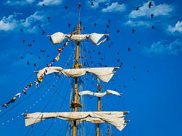 Rolled Segel eines Großsegler, Sail Amsterdam von Rietje Bulthuis