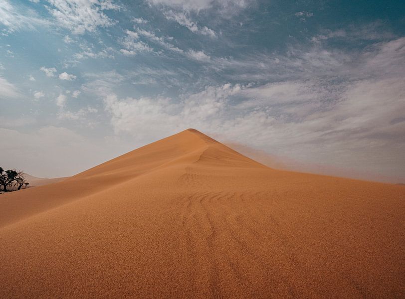 Düne im Sossusvlei in Namibia,  Afrika von Patrick Groß