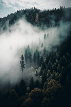 Wald im Nebel von ColorCat