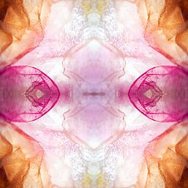 Gefrorene rosa abstrakt von Marja Lok