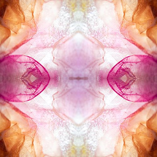 Frozen roze abstract