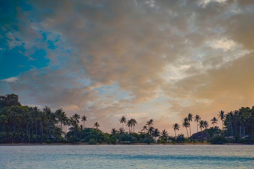 PARADISE van Christian Schmidt