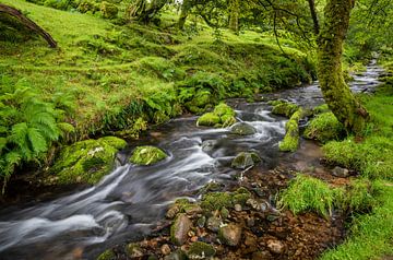 Een rivier landchap in de omgeving van Yelverton van Karin Broekhuijsen