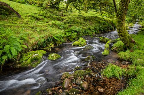 A river landscape near Yelverton by Karin Broekhuijsen
