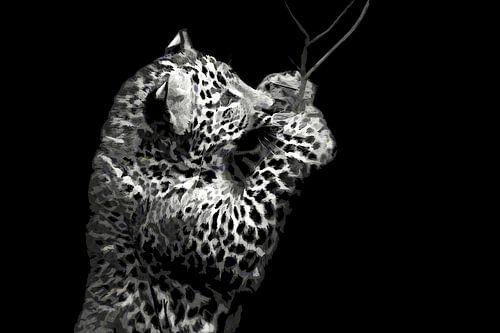 Panther cub with branch