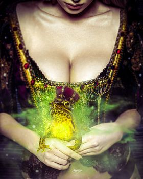 Le prince des grenouilles