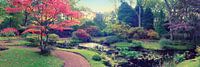 Herbst im japanischen Park von Ariadna de Raadt-Goldberg Miniaturansicht