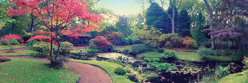 Herbst im japanischen Park von Ariadna de Raadt-Goldberg