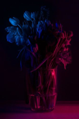 Still Life of Flowers