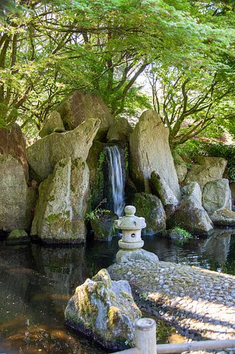 Jardin japonais avec cascade