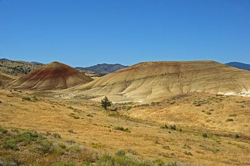 Painted Hills, Oregon, USA von Jeroen van Deel