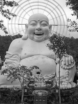 Lachende Budha van Sonja Hogenboom