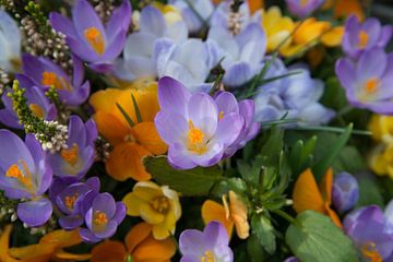 Bloemenzee van CreaBrig Fotografie