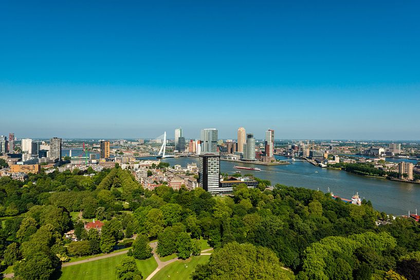 Rotterdam met de Erasmusbrug in vergezicht. von Brian Morgan