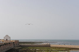 El Jadida van christel exelmans