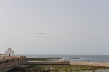 El Jadida