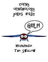 Dad Joke - The swallow