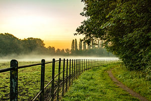 Nebel_01