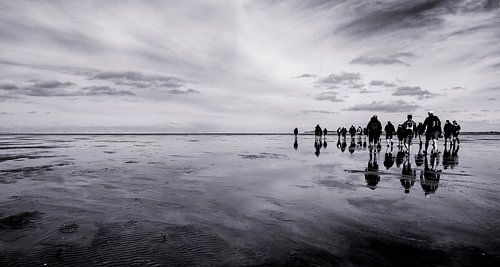Eb bij Rottumeroog, het onbewoonde waddeneiland