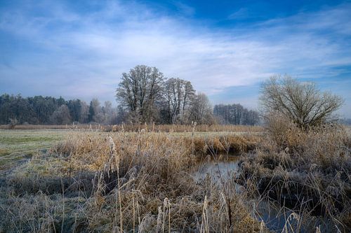 Idyllisch winterlandschap bij de rivier de Paar