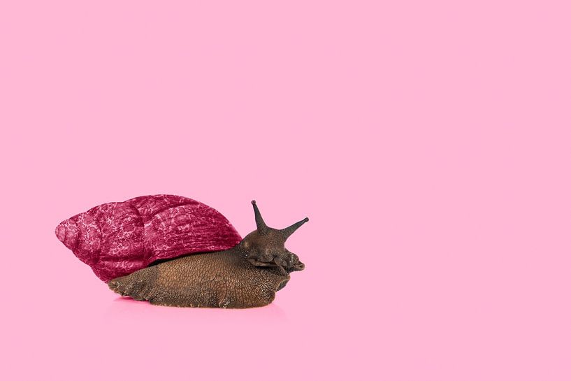Roze slak van Elles Rijsdijk