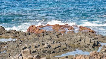 Rotskust van Montana Amarilla, Tenerife