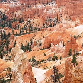 Bryce Canyon, USA van Studio Voorpret