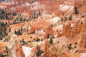 Bryce Canyon, USA von Studio Voorpret
