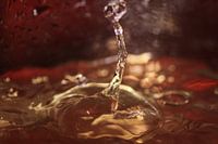 SPLASH 1