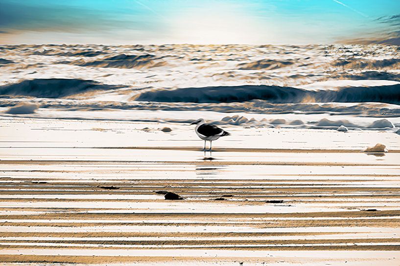 Eine Möwe am Strand von Studio Mirabelle