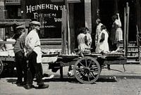 Heineken's beers