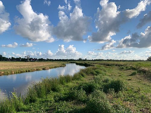 Clouds in. Natural area