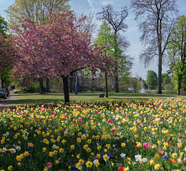 Parc Wilhelmina à Breda sur I Love Breda