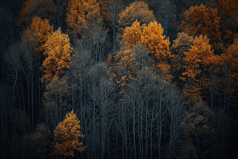 Romantisch herfstbos van fernlichtsicht