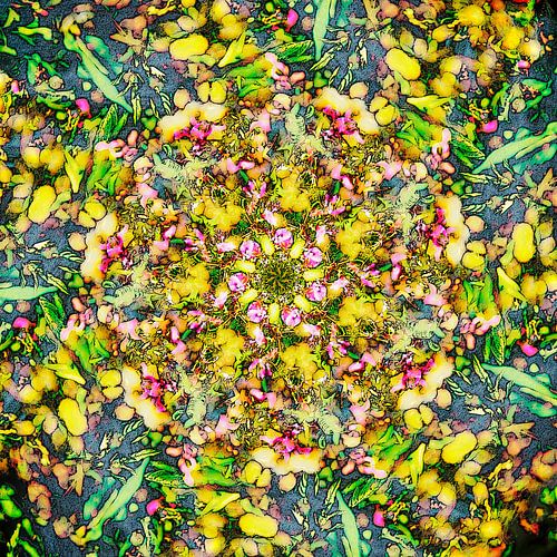 Tutti Frutti