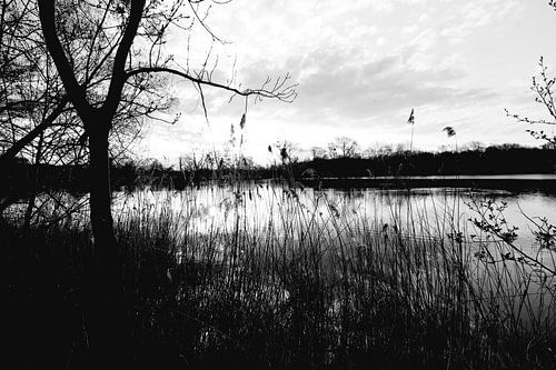 Lever de soleil en noir et blanc