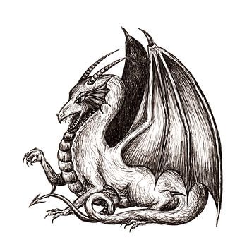 Winged dragon, black and white pen drawing