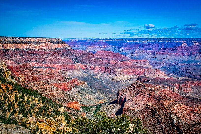 Uitzicht over de veelkleurige Grand Canyon van Rietje Bulthuis