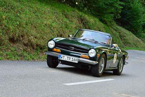 Triumph TR EGGBERG CLASSIC 2019