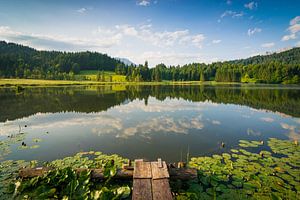 Sommer im Karwendel