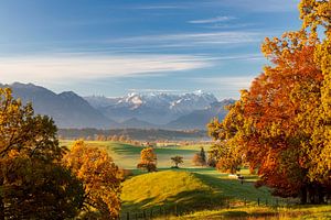Herbst über Murnauer Moos mit Blick auf Zugspitze