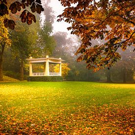 Noorderplantsoen Groningen in herfstkleuren van Jacco van der Zwan