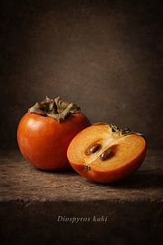 Persimmon. Diospyros kaki – Classic Botanical Still Life by Bert Quaedvlieg