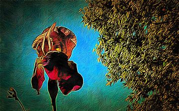 Bärtige Iris Sorte Indianerhäuptling Impressionistischer Stil von Dorothy Berry-Lound