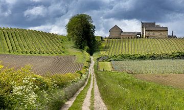 Tuscan Limburg, Netherlands by Adelheid Smitt