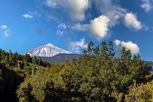 El Teide, Vulkan auf Teneriffa Spanien