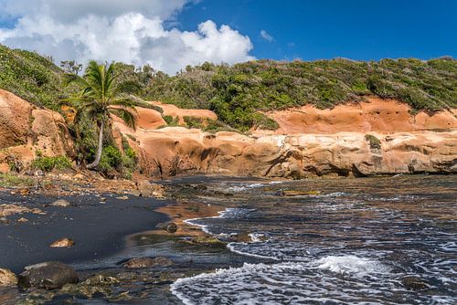 Caribbean Beach Dominica by Peter Schickert