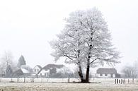 Winter wonderland van Robbie Veldwijk thumbnail